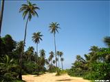 Surfer Beach - AGUADILLA